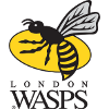 Wasps RFC