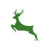 Notts Outlaws	